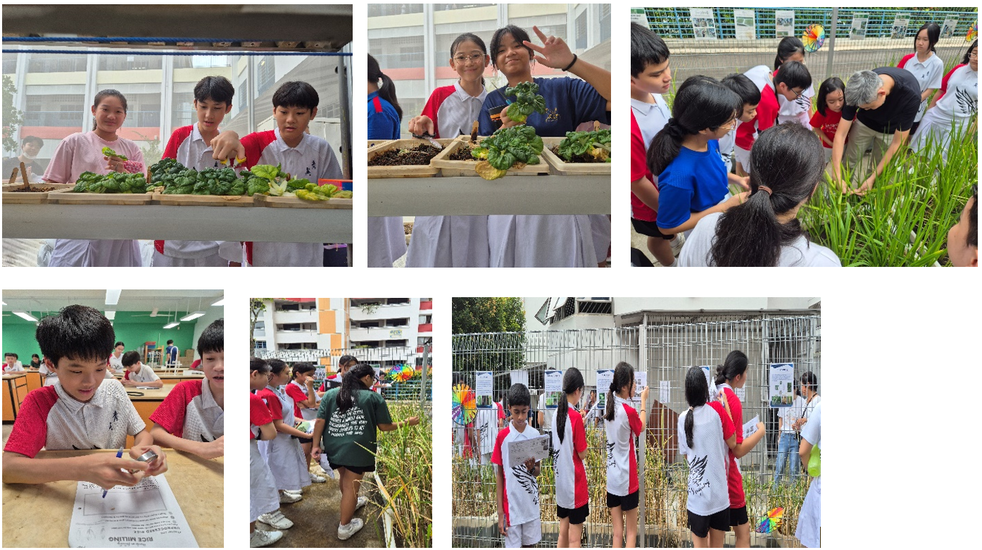 Sustainability One 2025